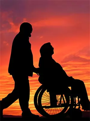 猫咪空运送货上门